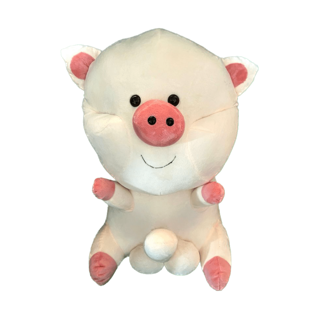 Gifted Pig Plush