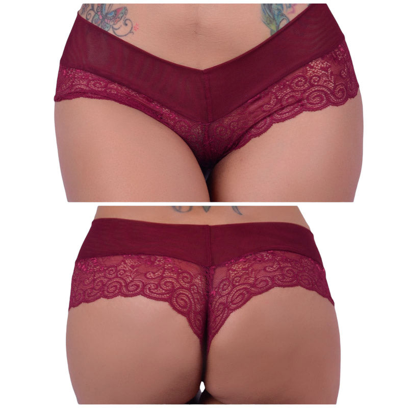 Panty de Encaje Malla Paxion